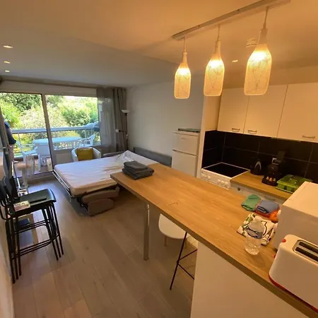 Apartamento - 2p Climatisé Avec Piscine Et à 8mn Des Plages