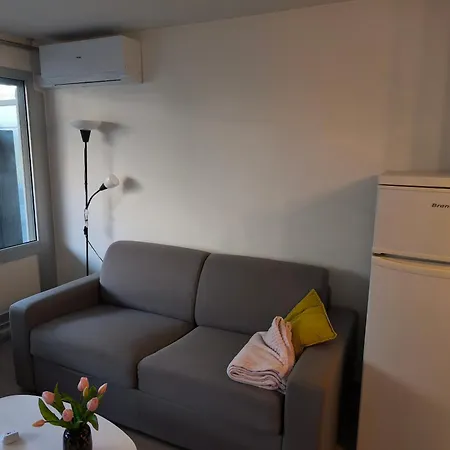 - 2p Climatise Avec Piscine Et A 8mn Des Plages