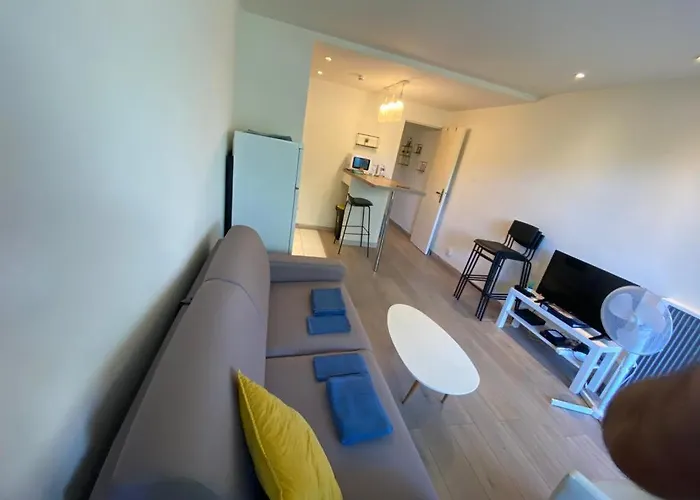 Apartamento - 2p Climatisé Avec Piscine Et à 8mn Des Plages Antibes