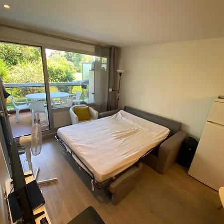 - 2p Climatise Avec Piscine Et A 8mn Des Plages *