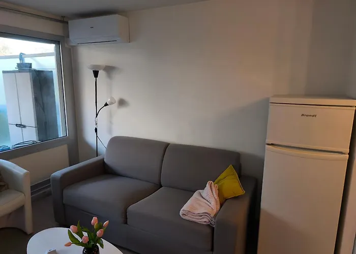 - 2p Climatise Avec Piscine Et A 8mn Des Plages